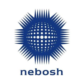NEBOSH health and safety certification for surveyors carrying out property inspections