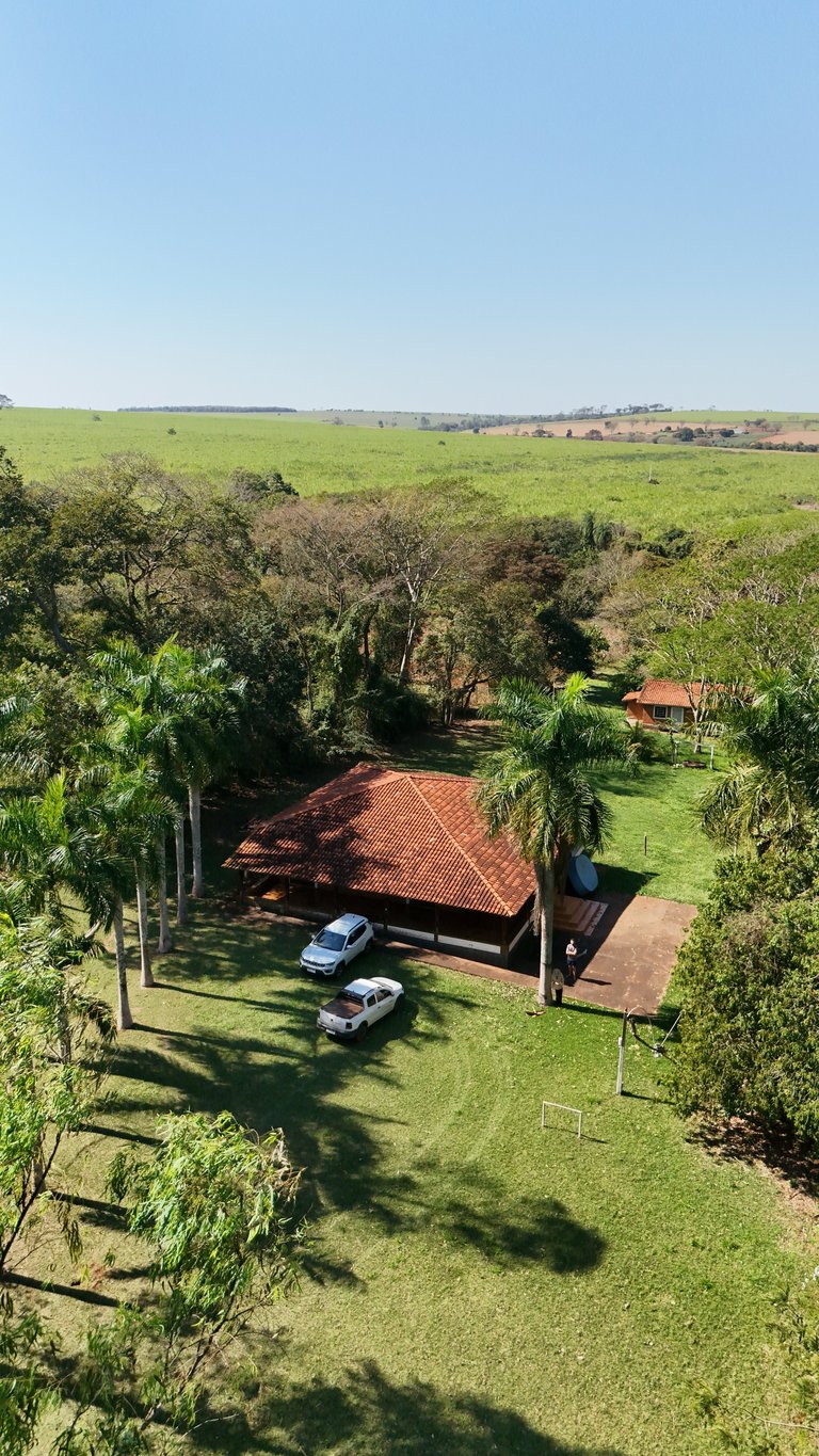 Vista aérea de chácara rural com casa de telhado colonial, carros na garagem, palmeiras e pastagens verdes ao redor