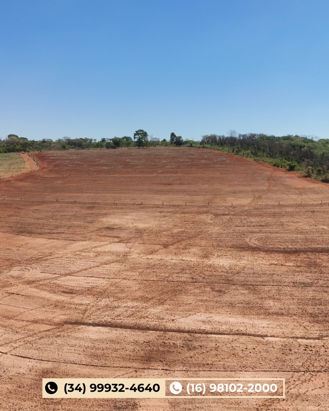 Grande área agrícola limpa com solo vermelho acastanhado e linha de árvores sob céu azul