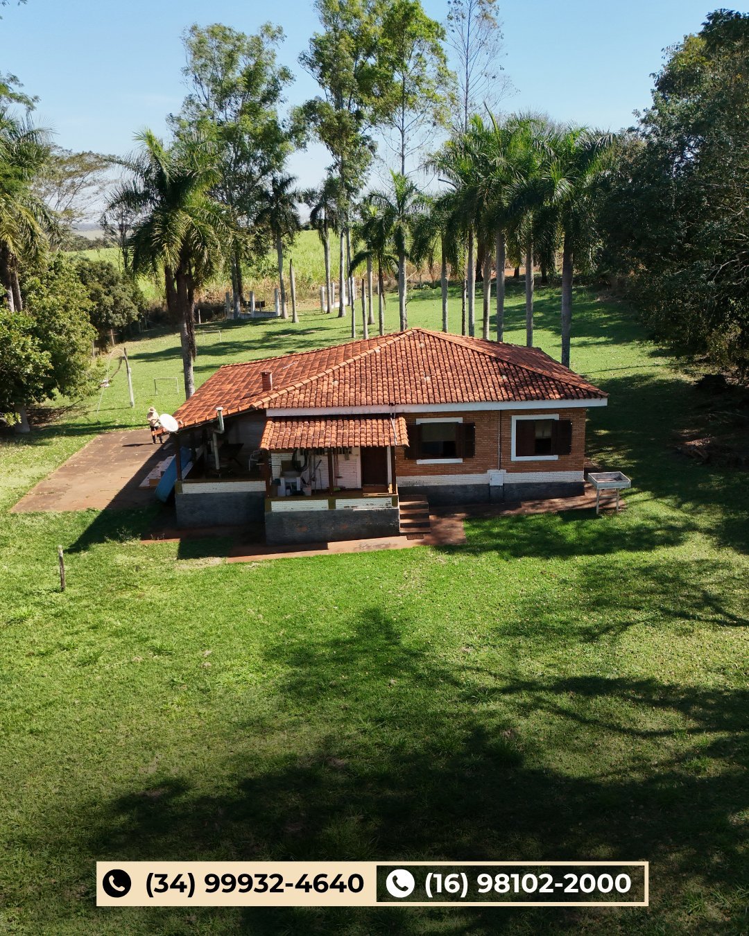 Casa pequena de tijolinho com telhado de barro em terreno gramado cercado por palmeiras e vegetação