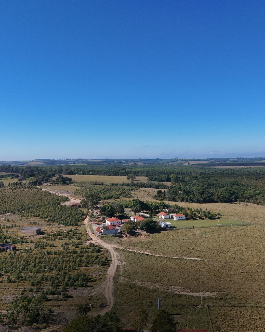 Vista aérea de propriedade rural com construções de telhado vermelho entre áreas de floresta e lavouras