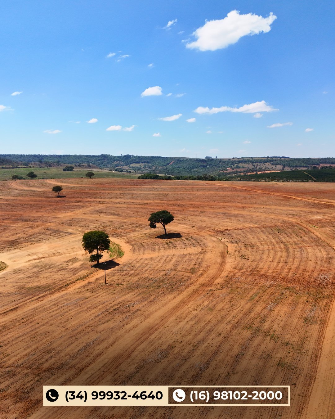 Vista aérea de campo arado rural com duas árvores isoladas e colinas sob céu azul com nuvens