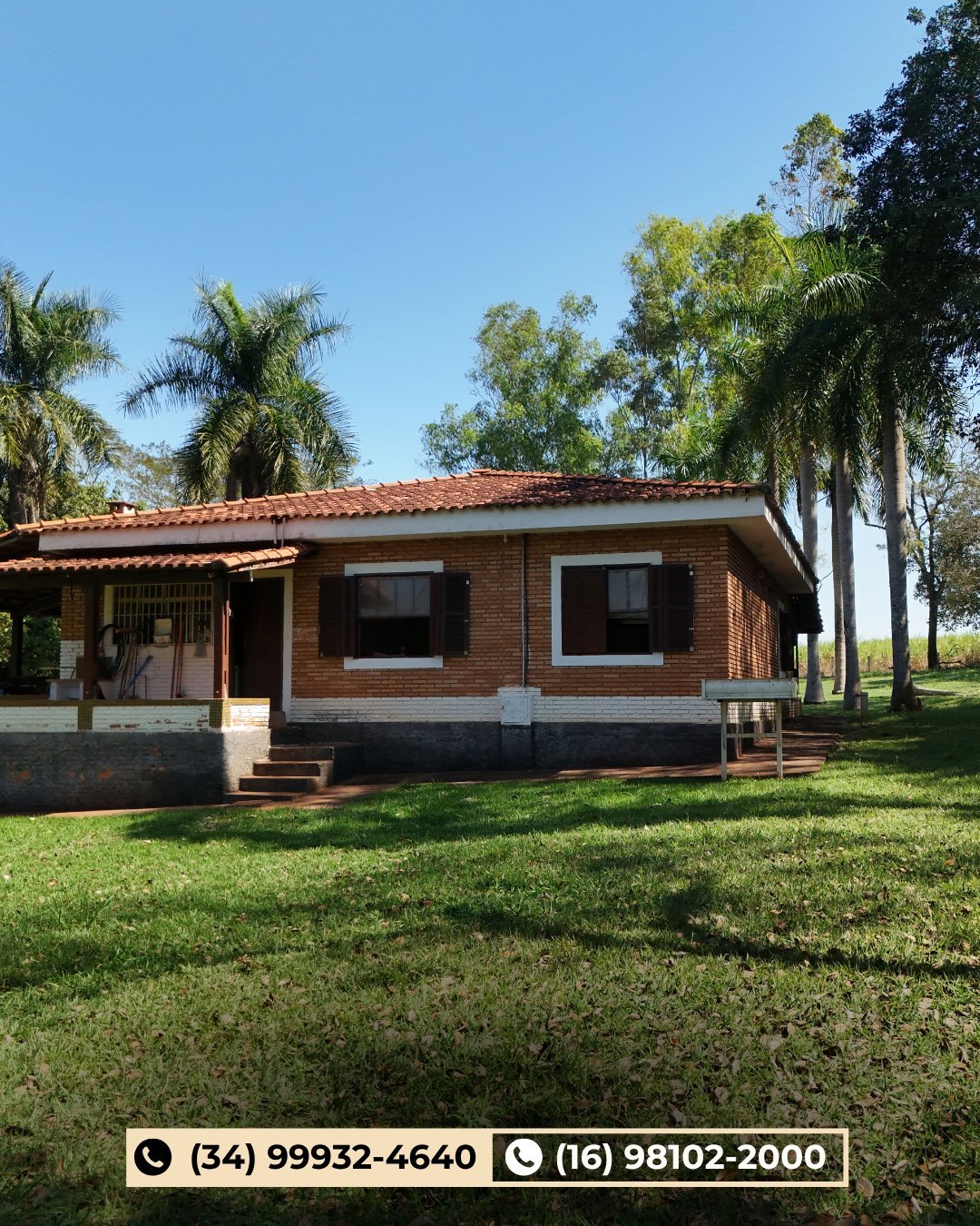 Casa térrea de tijolinho com detalhes brancos e telhado vermelho sobre gramado verde com palmeiras altas