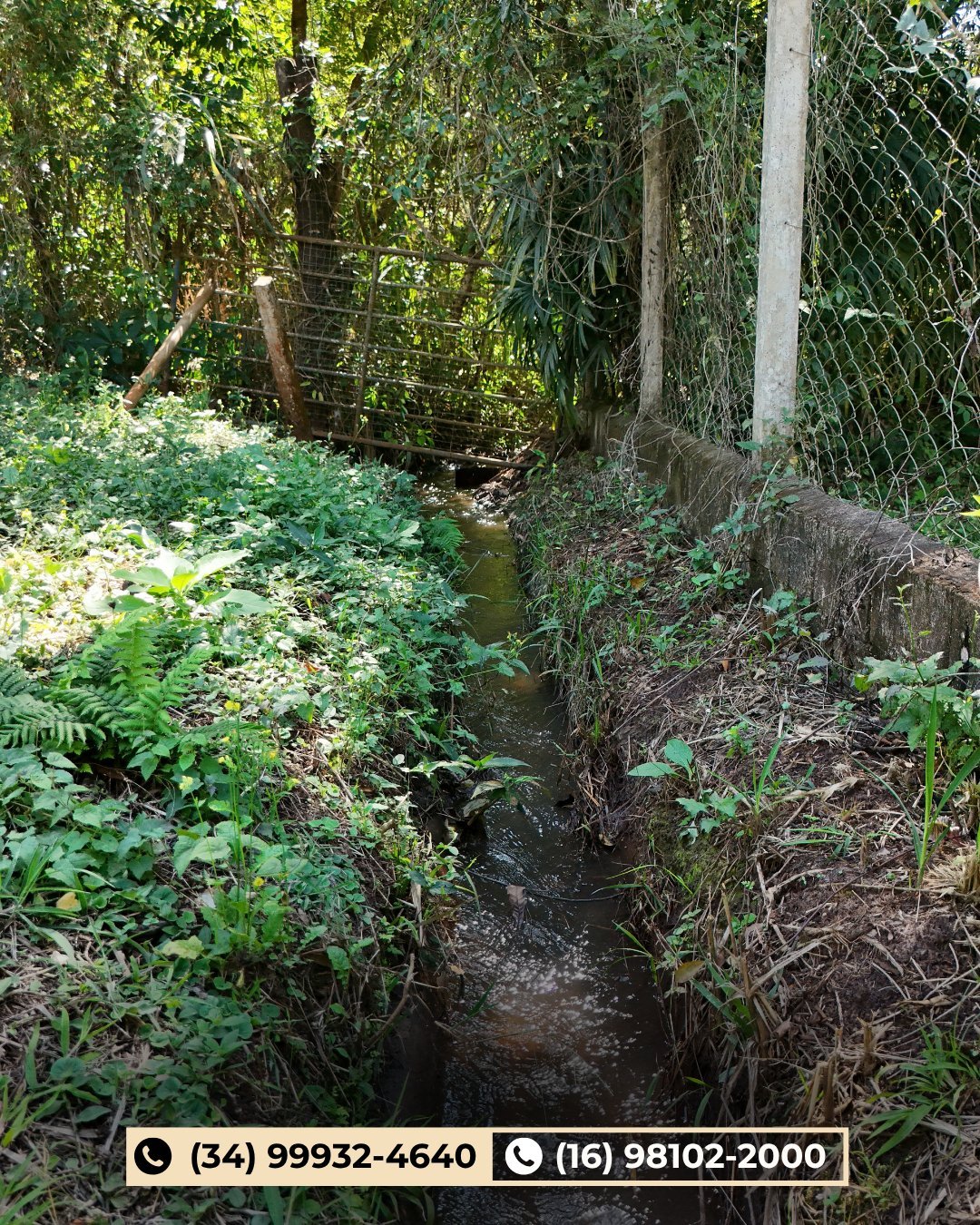 Córrego com cerca de tela e vegetação densa ao redor na propriedade rural