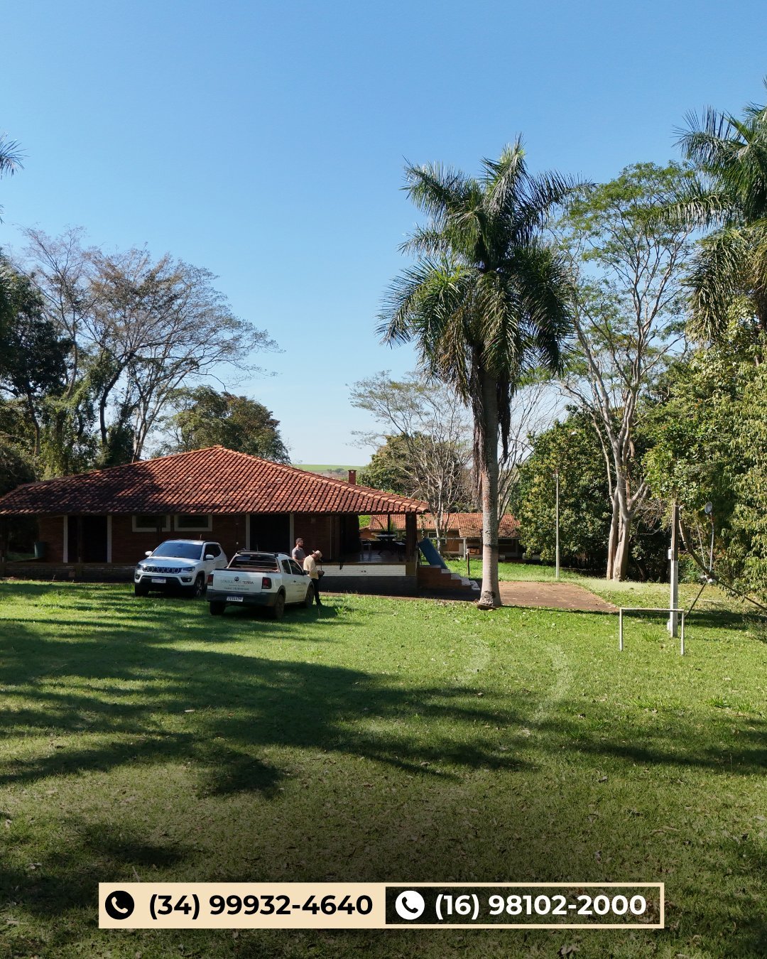 Chácara rural com casa de telhado colonial, dois veículos no gramado, palmeiras altas e céu limpo