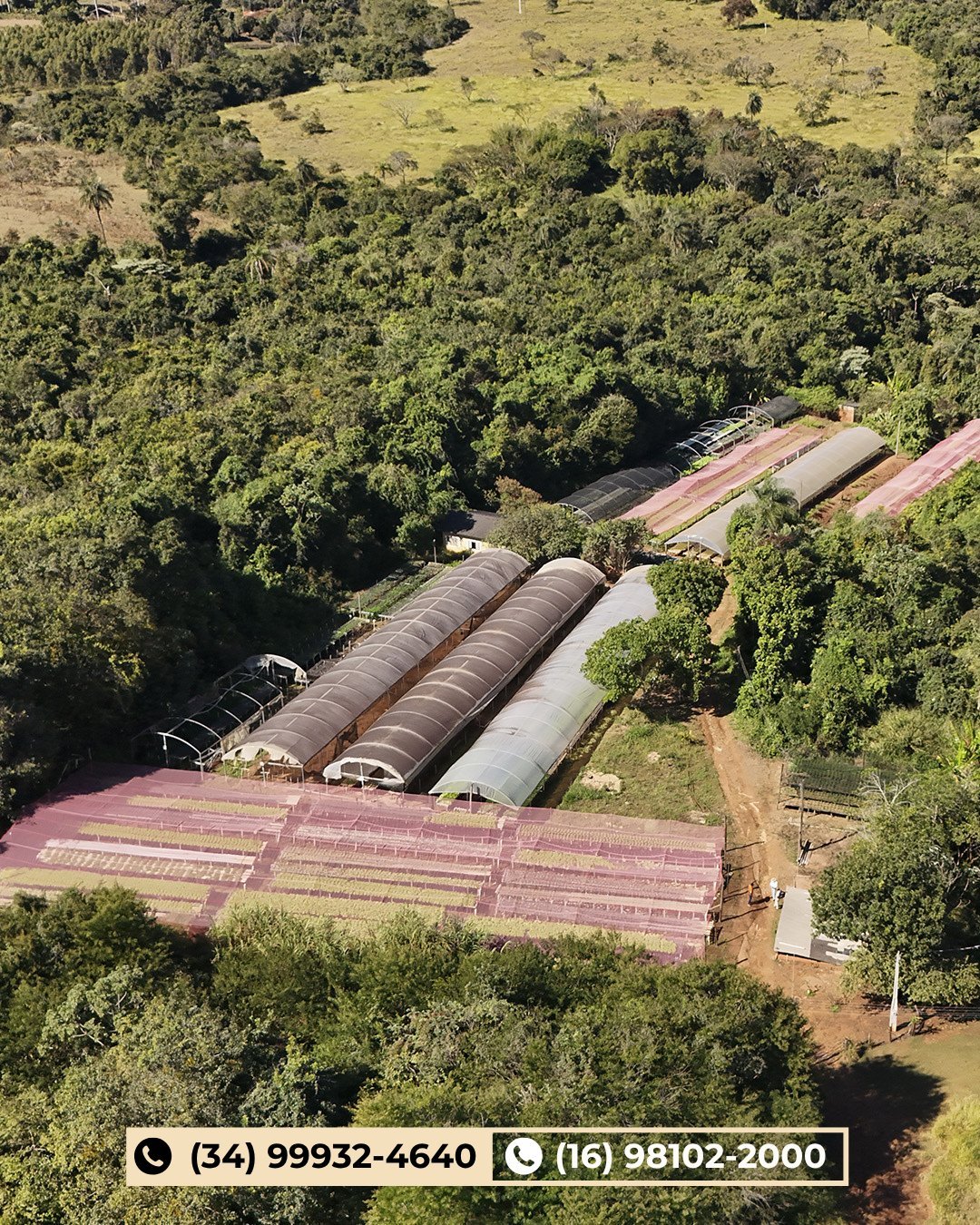 Vista aérea de fazenda agrícola com grandes silos curvos e campos de solo vermelho cercados por floresta