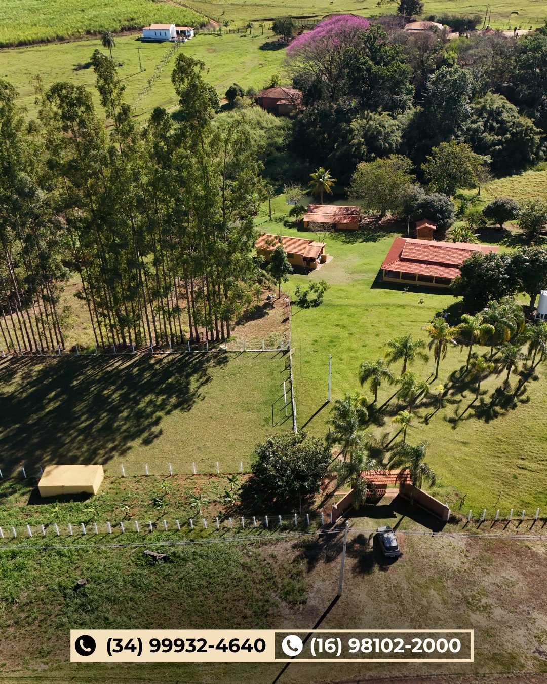 Vista aérea da propriedade rural com pastagens verdes, construções de telhado vermelho, bambuzal e árvore florida roxa