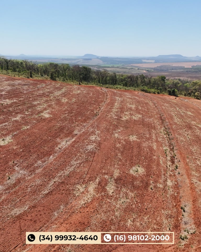 Vista aérea de campo agrícola de solo vermelho com linha de árvores e serras distantes sob céu azul