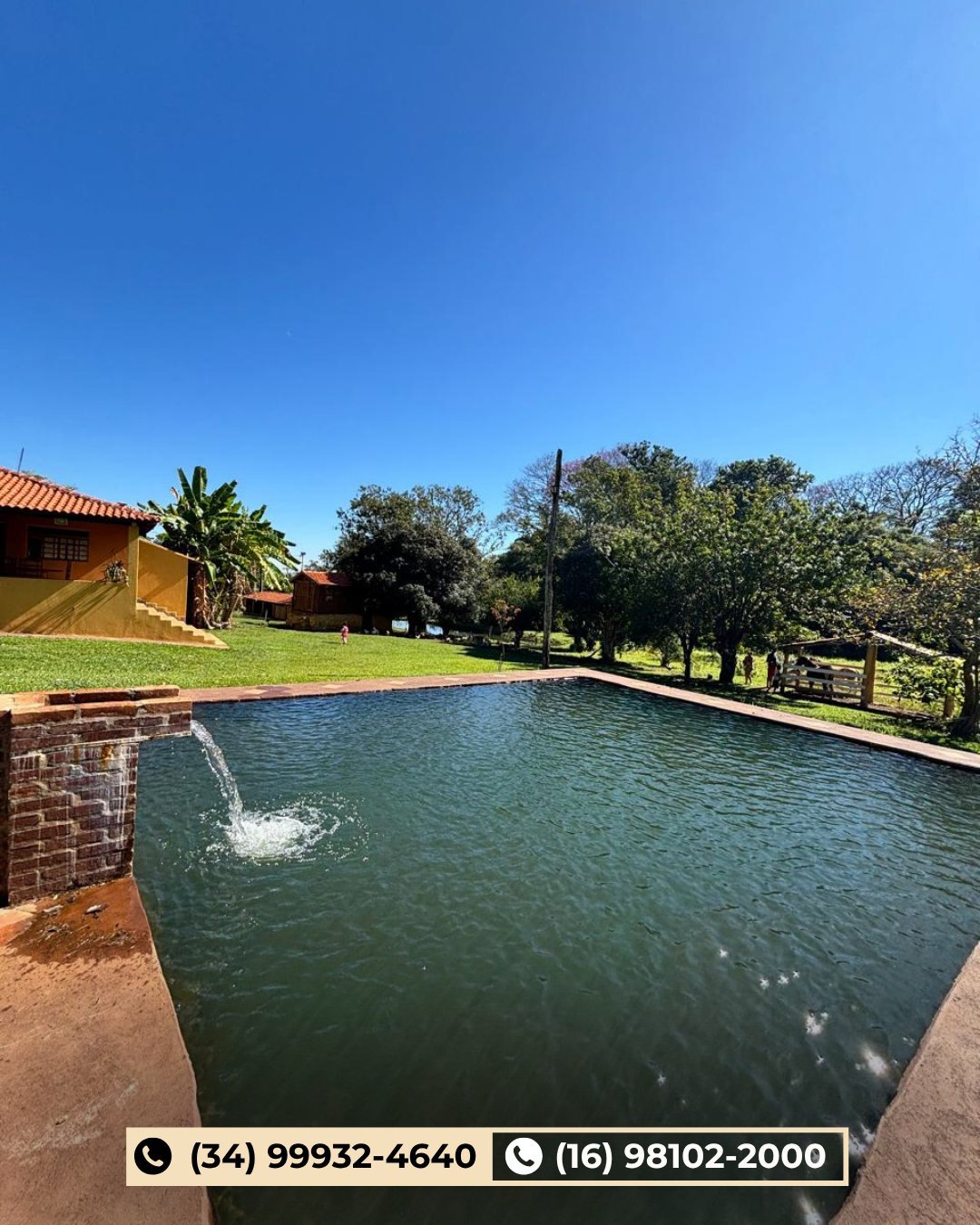 Piscina retangular do sítio com casa amarela, palmeiras e gramado verde sob céu azul