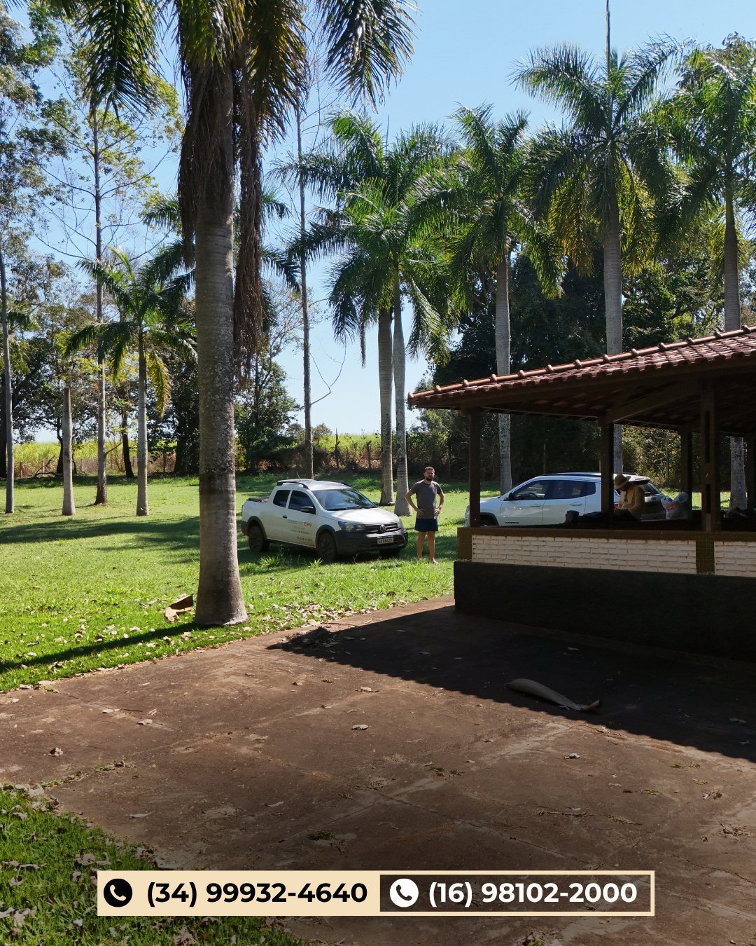 Área de estacionamento coberto com palmeiras e dois carros estacionados no gramado da chácara
