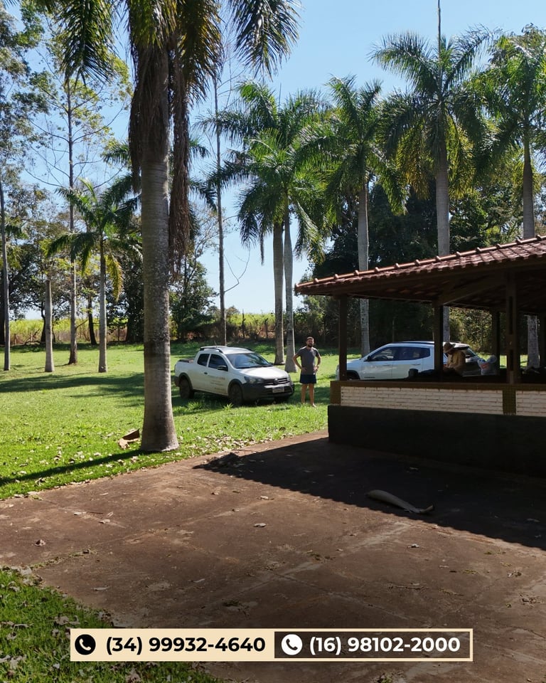 Área de estacionamento coberto com palmeiras e dois carros estacionados no gramado da chácara