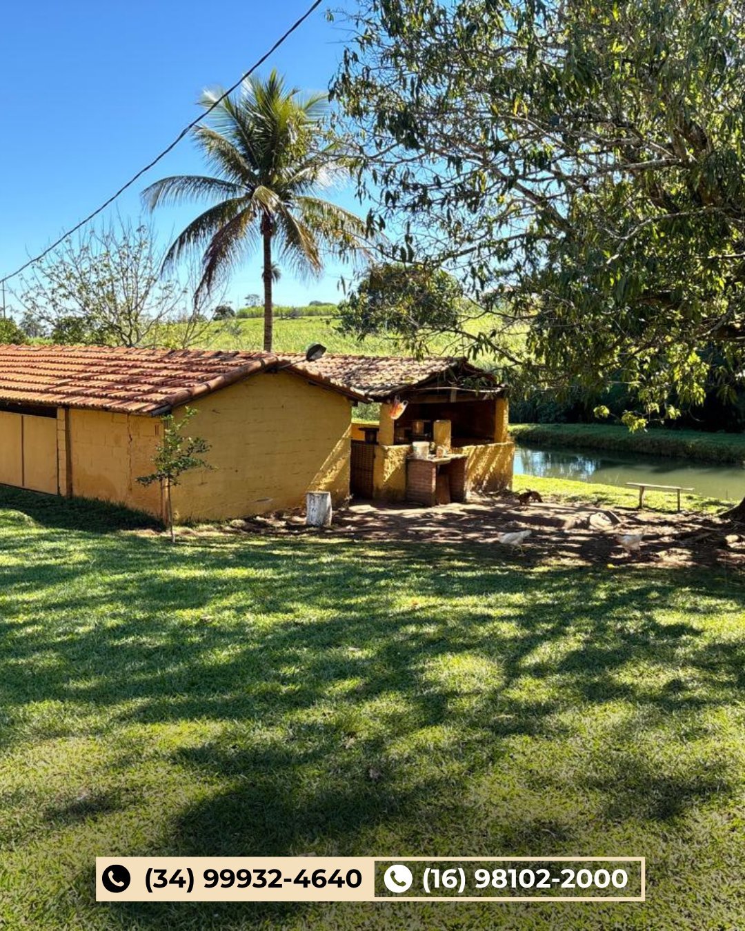 Casa amarela rústica com telhado de barro ao lado do lago, palmeira e gramado verde