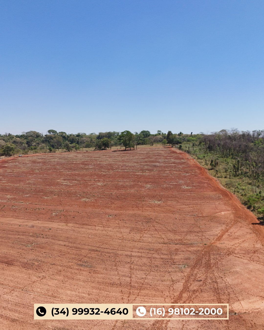 Vista aérea de grande área agrícola de solo vermelho limpo com bordas de floresta sob céu azul