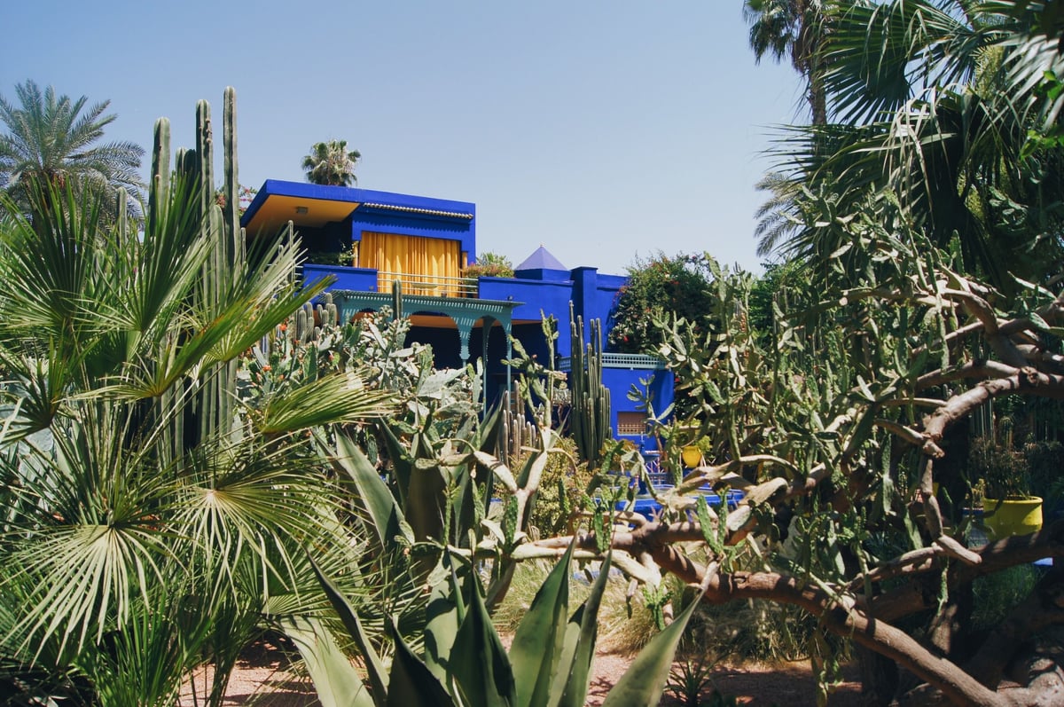 Bright blue and yellow modern building surrounded by desert plants and cacti under clear sky