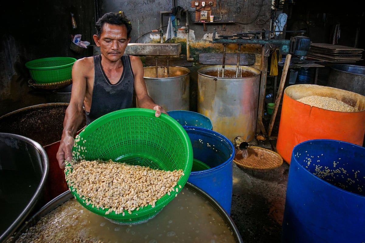 Man in a workshop holding a green strainer basket filled with peanuts, surrounded by buckets and containers.