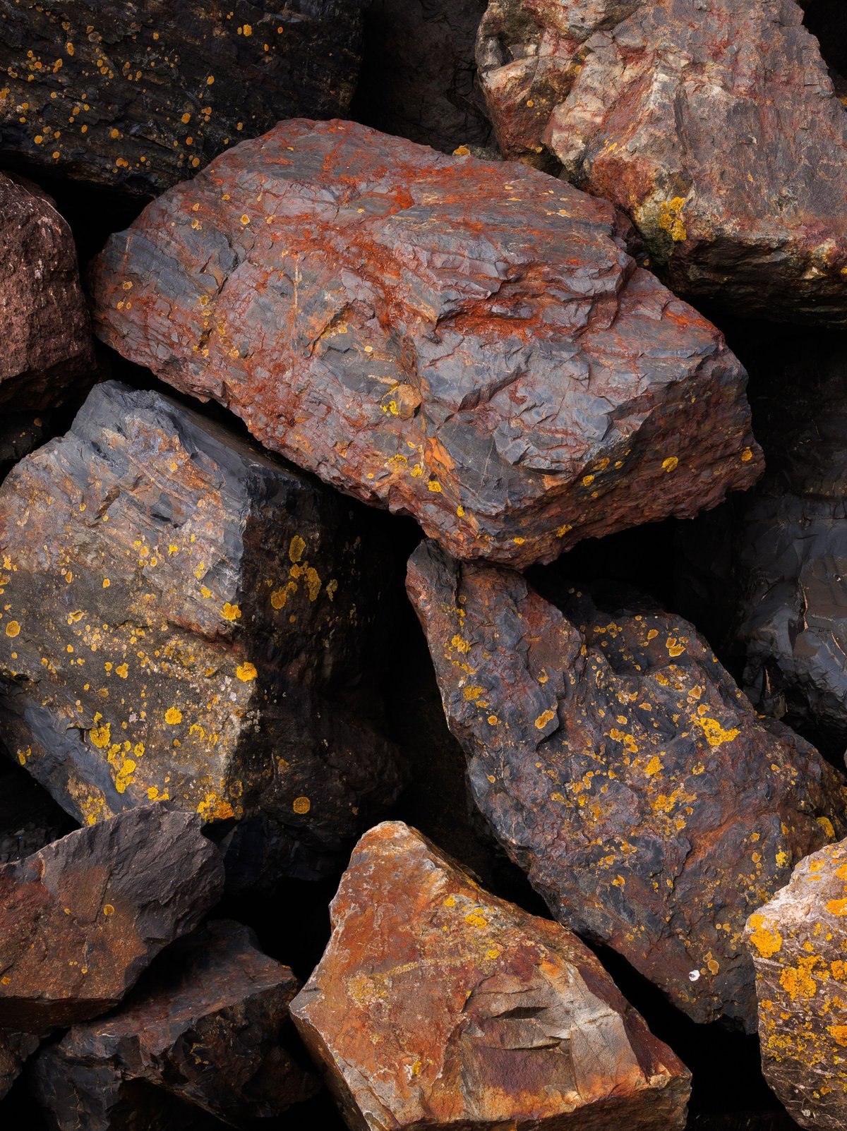 Weathered rocks and boulders with orange and yellow lichen growth covering their surfaces