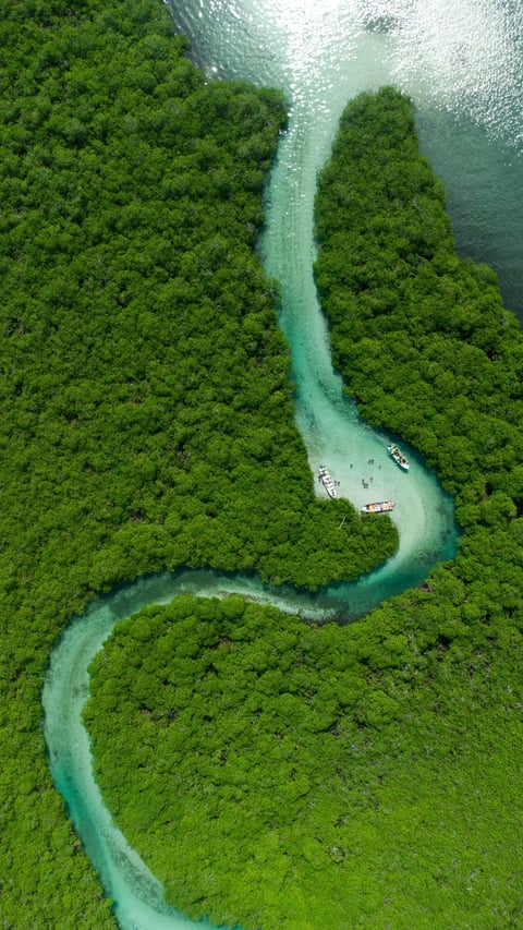 Aerial view of a winding turquoise river cutting through dense green forest with two boats anchored in the waterway