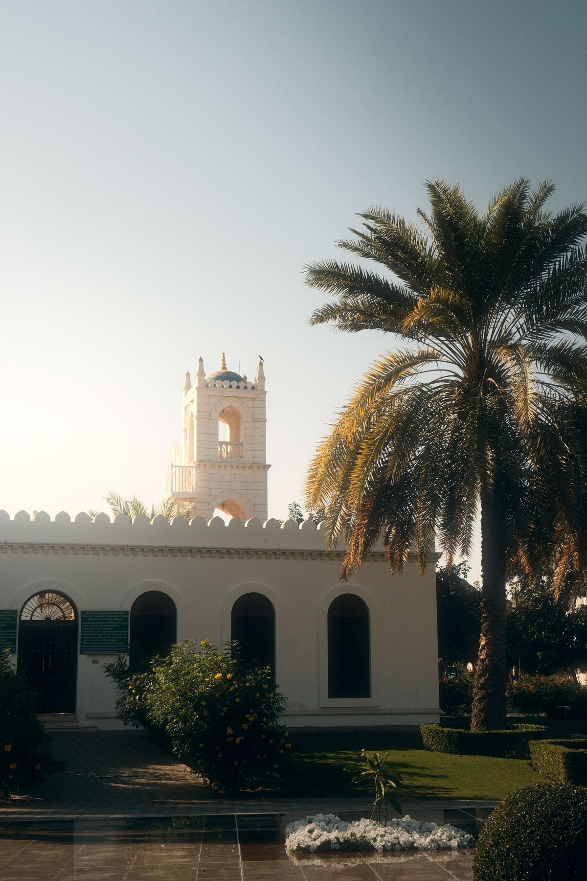 White mosque with minaret tower, arched windows, crenellated walls, palm tree, and courtyard reflected in water