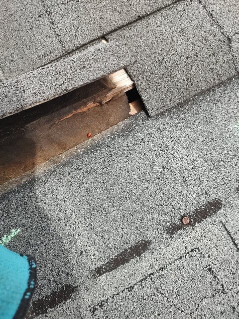 Damaged roof shingles with exposed rusty flashing and fasteners, showing deterioration and wear