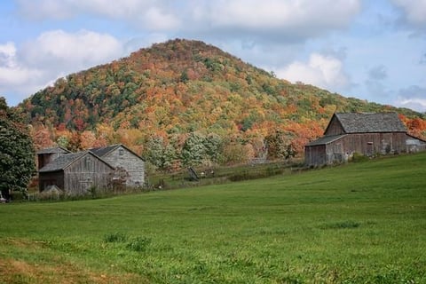 Autumn hillside with forested mountain displaying fall foliage behind weathered wooden farm buildings and green meadow