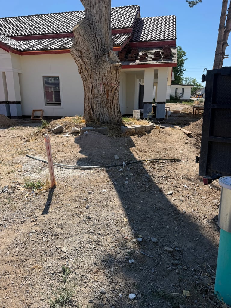 Large bare tree trunk in front of a residential house with brown roof and white walls, casting a long shadow on dry sandy ground.