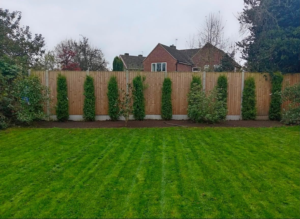 Wooden fence with climbing ivy plants lining a manicured green lawn behind a brick house