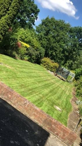 Striped green lawn with brick wall and mature trees on a sunny day