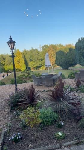 Landscaped garden with ornamental lamp post, purple fountain grass plants, and blooming flowers in foreground, with trees and umbrella in background