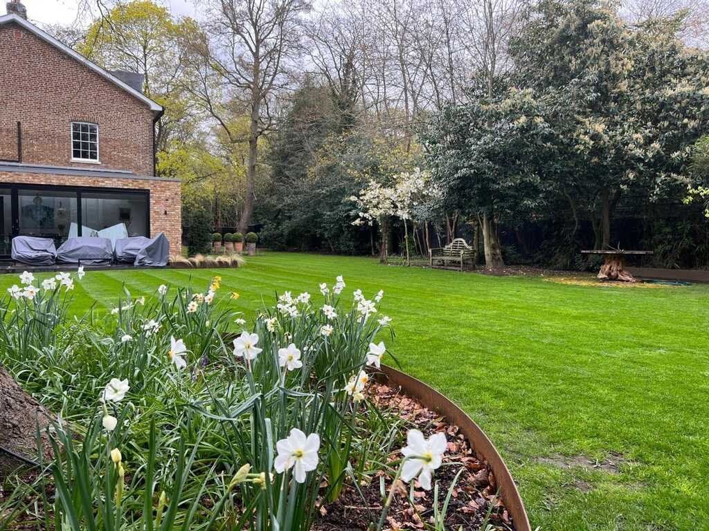 Modern brick house with manicured lawn, blooming white flowers in foreground, and mature trees lining the garden