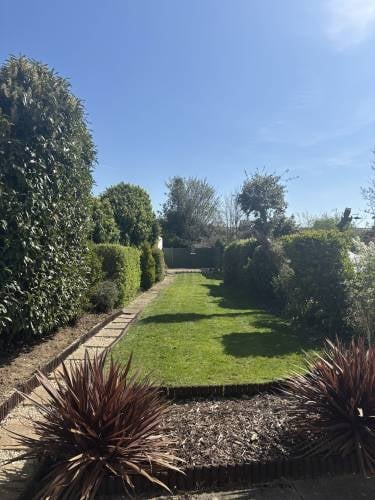Manicured garden pathway with green lawn bordered by tall hedges and ornamental plants under blue sky
