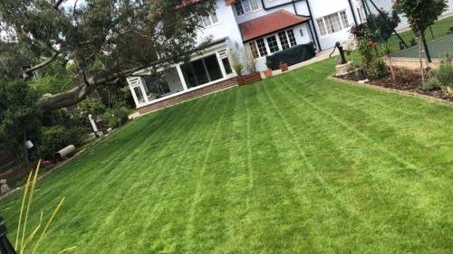 Well-maintained green lawn with diagonal mowing stripes in front of modern residential house with patio and landscaping