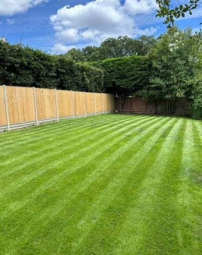 A well-maintained backyard with striped green lawn, wooden fence, and surrounding trees under a partly cloudy sky