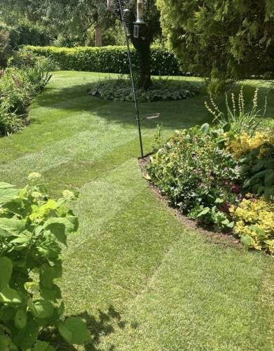 Well-maintained garden with lush green lawn, flower beds, hedges, and tall shrubs on a sunny day