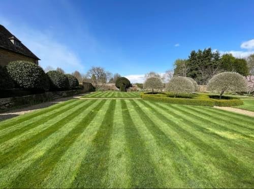 Well-manicured garden with striped lawn pattern, sculpted hedges, and clear blue sky