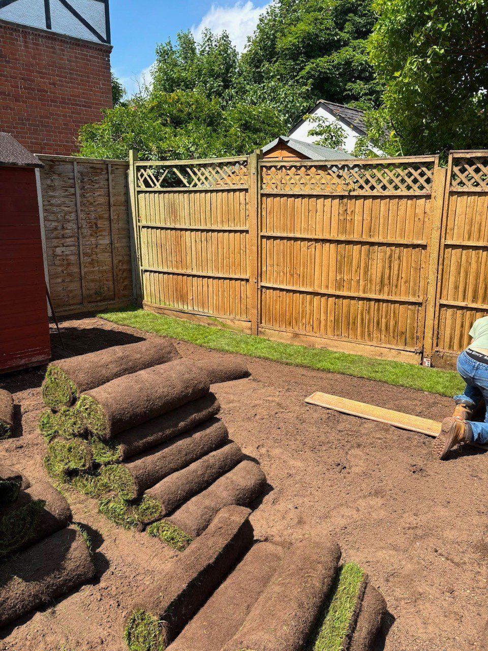 Backyard garden with rolled turf sections on brown soil, wooden lattice fence, brick wall, and trees in background