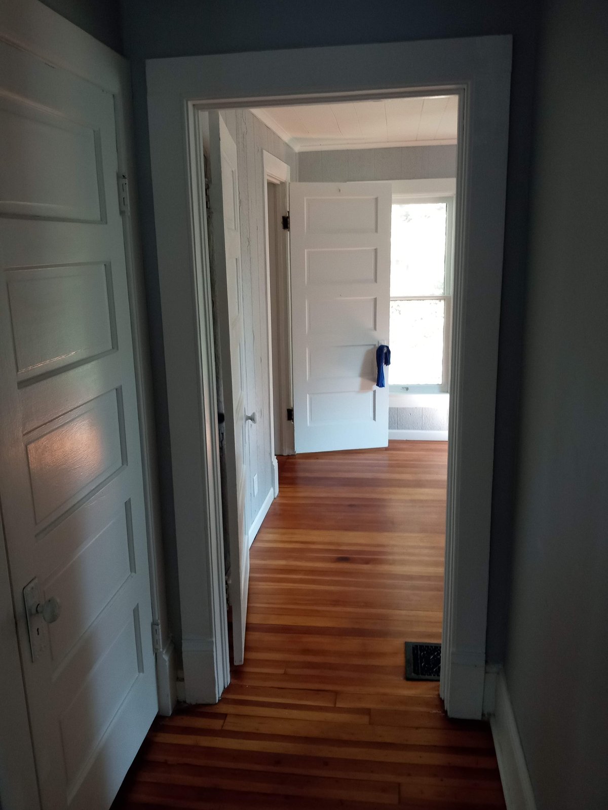 View down a hallway with dark teal walls, white trim, and wooden flooring leading to bright white doors