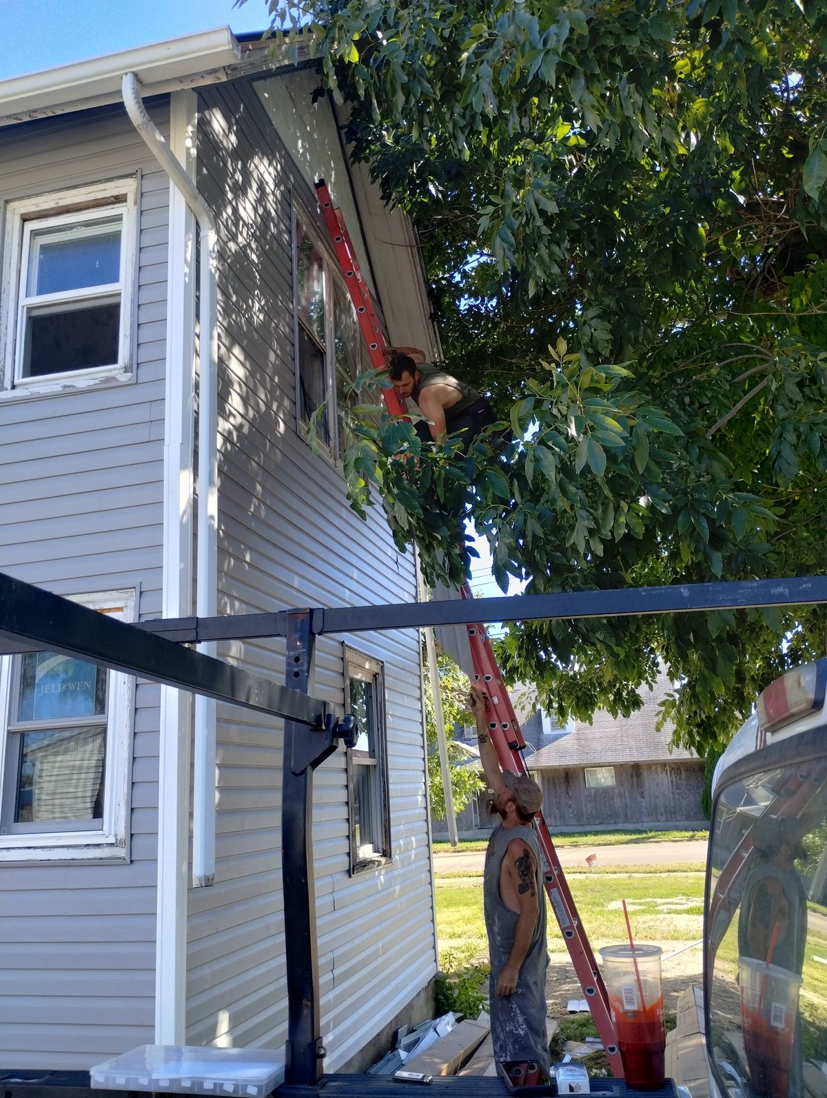 Person on red ladder pruning climbing ivy vines on white-sided house exterior with black metal awning