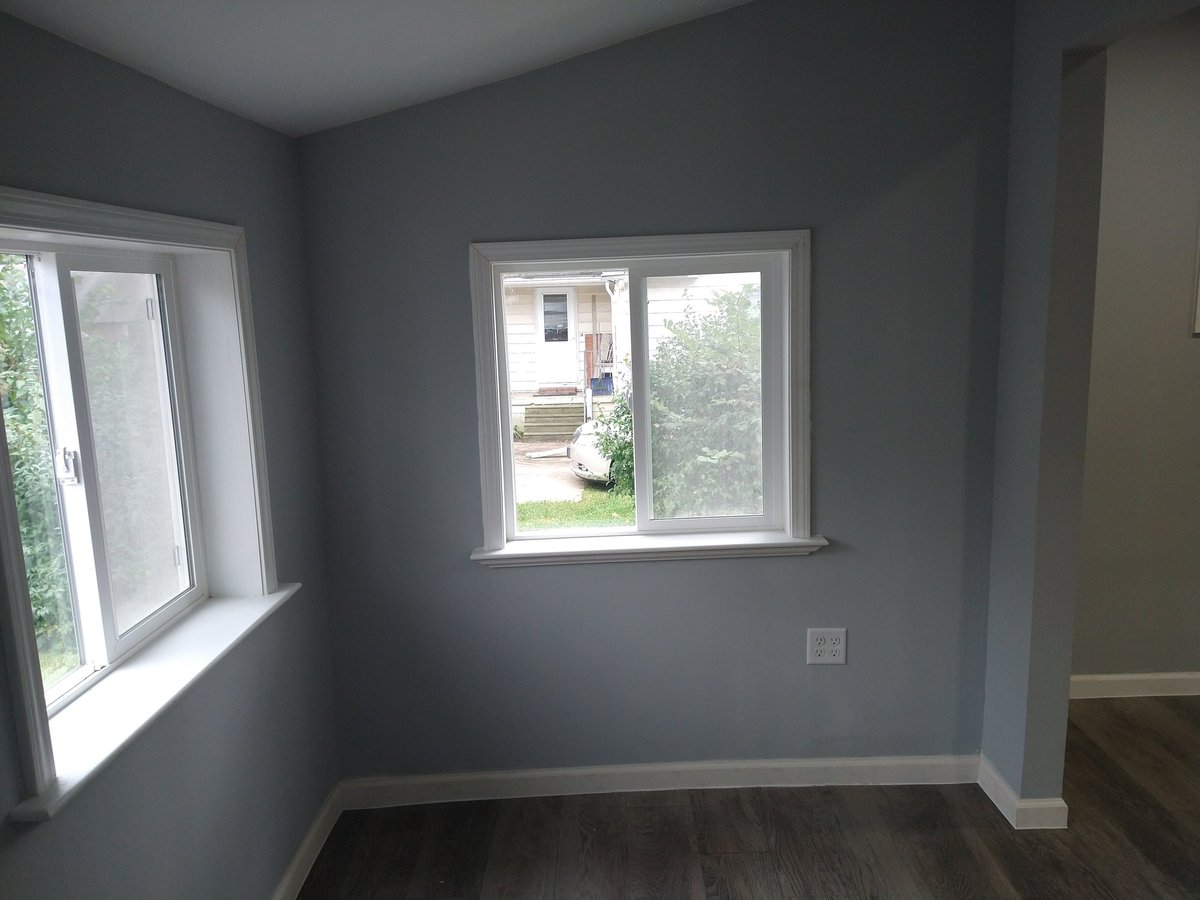 Empty bedroom with gray walls, two windows with white frames, dark flooring, and a small wall outlet