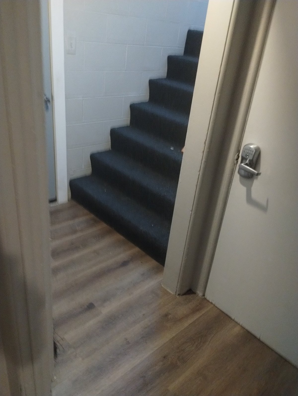 Staircase with black carpet steps descending from an open doorway in a white-walled interior space