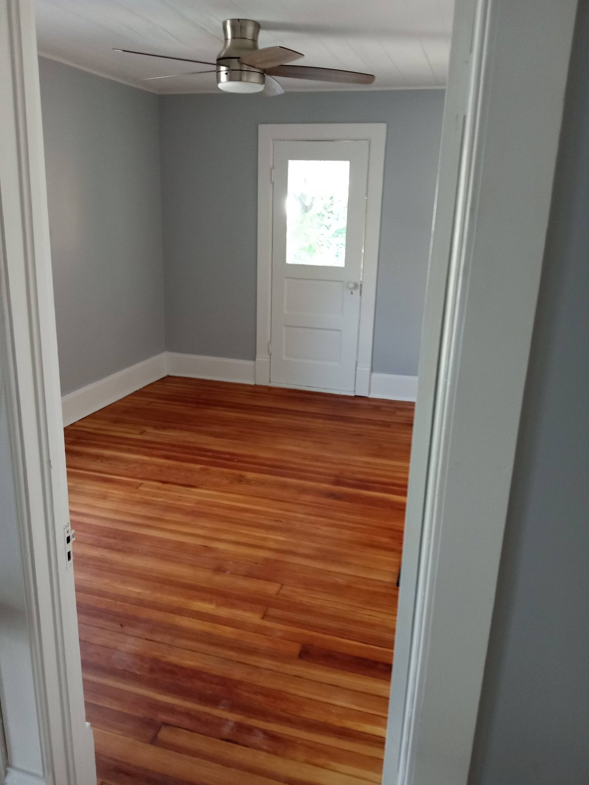 Empty room with gray walls, hardwood flooring, ceiling fan, and white door with window