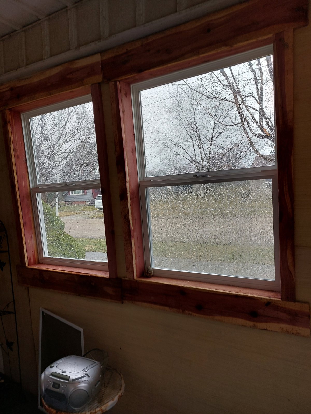 Two wooden-framed windows with privacy film looking out to bare trees and outdoor driveway in winter