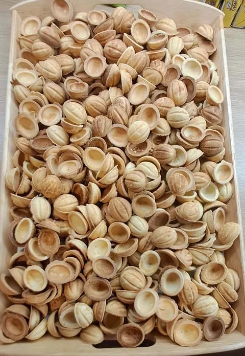 Overhead view of a white container filled with numerous cracked open pistachio shells arranged in rows