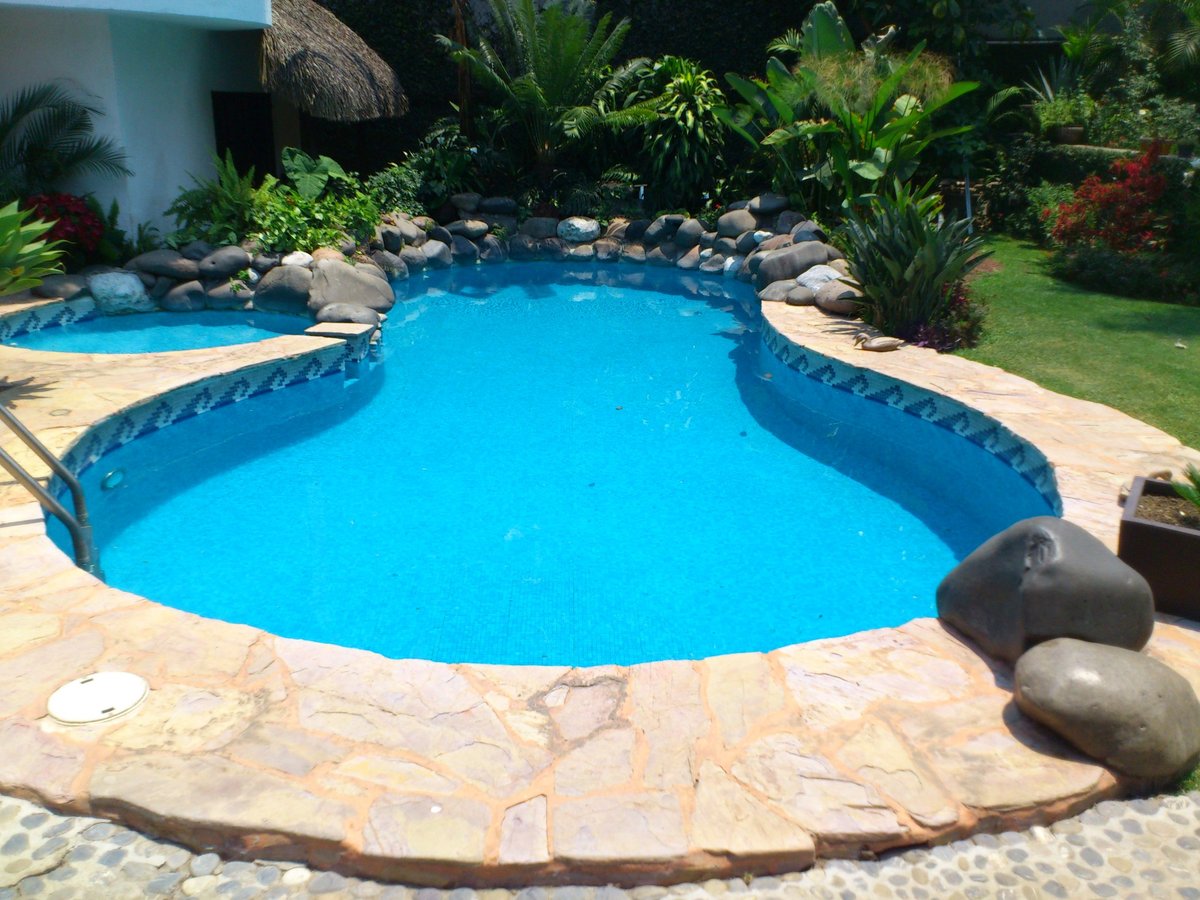 Alberca curva con agua azul brillante, deck de piedra y jardín tropical con plantas