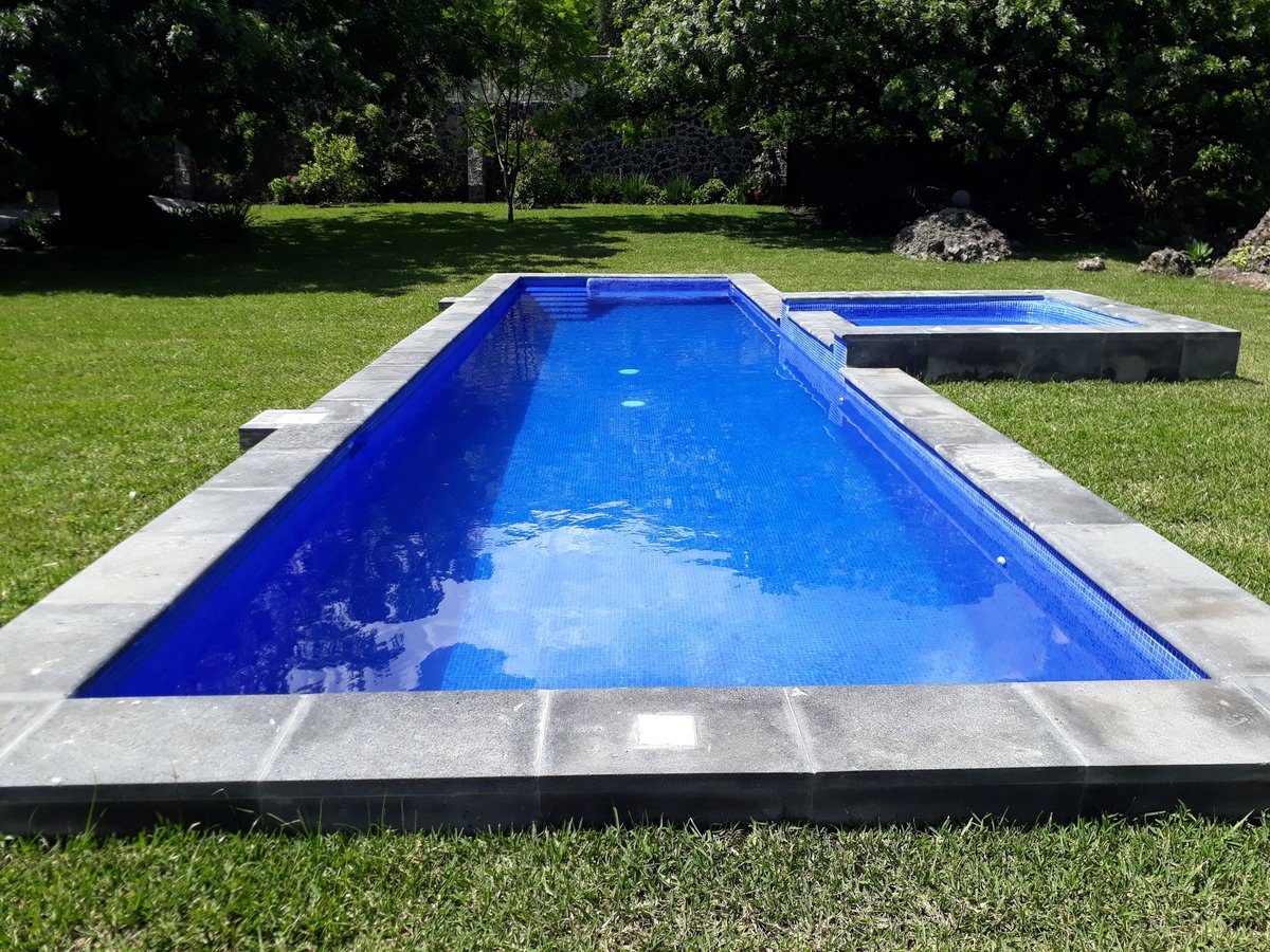 Alberca rectangular con agua azul brillante y deck de concreto en jardín con pasto y árboles