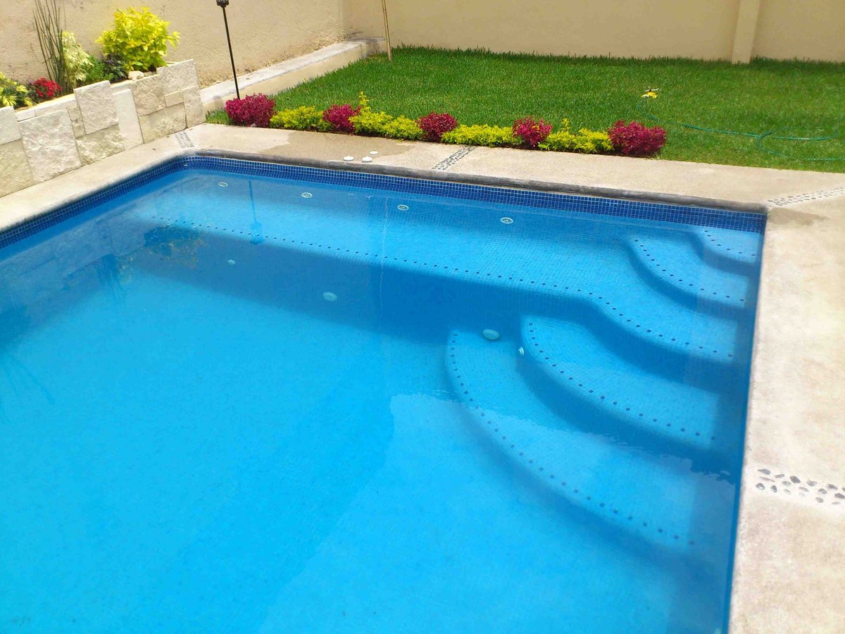 Alberca rectangular con agua azul brillante, deck de concreto y jardín con pasto verde y arbustos con flores al fondo