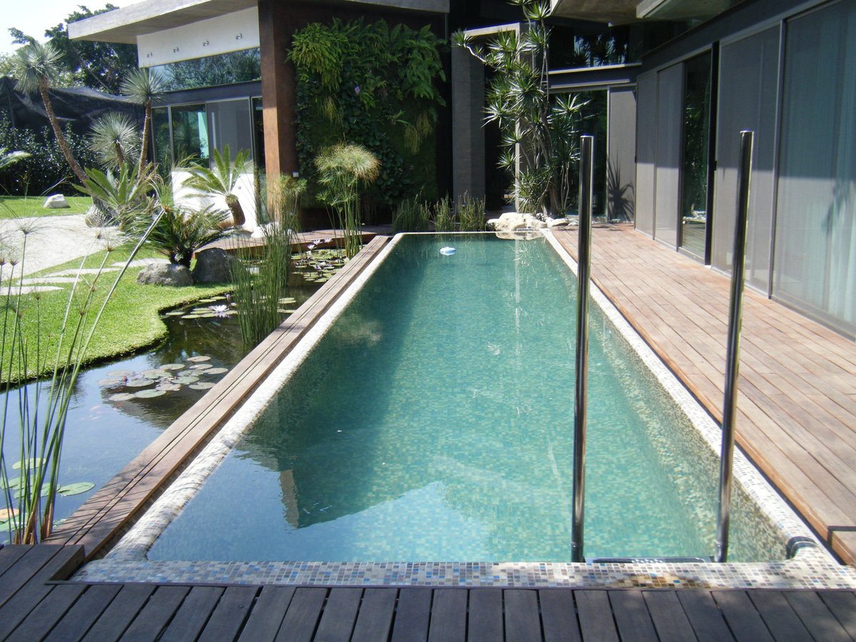 Alberca moderna estilo carril de nado con agua turquesa, deck de madera, cerca negra y jardín con plantas