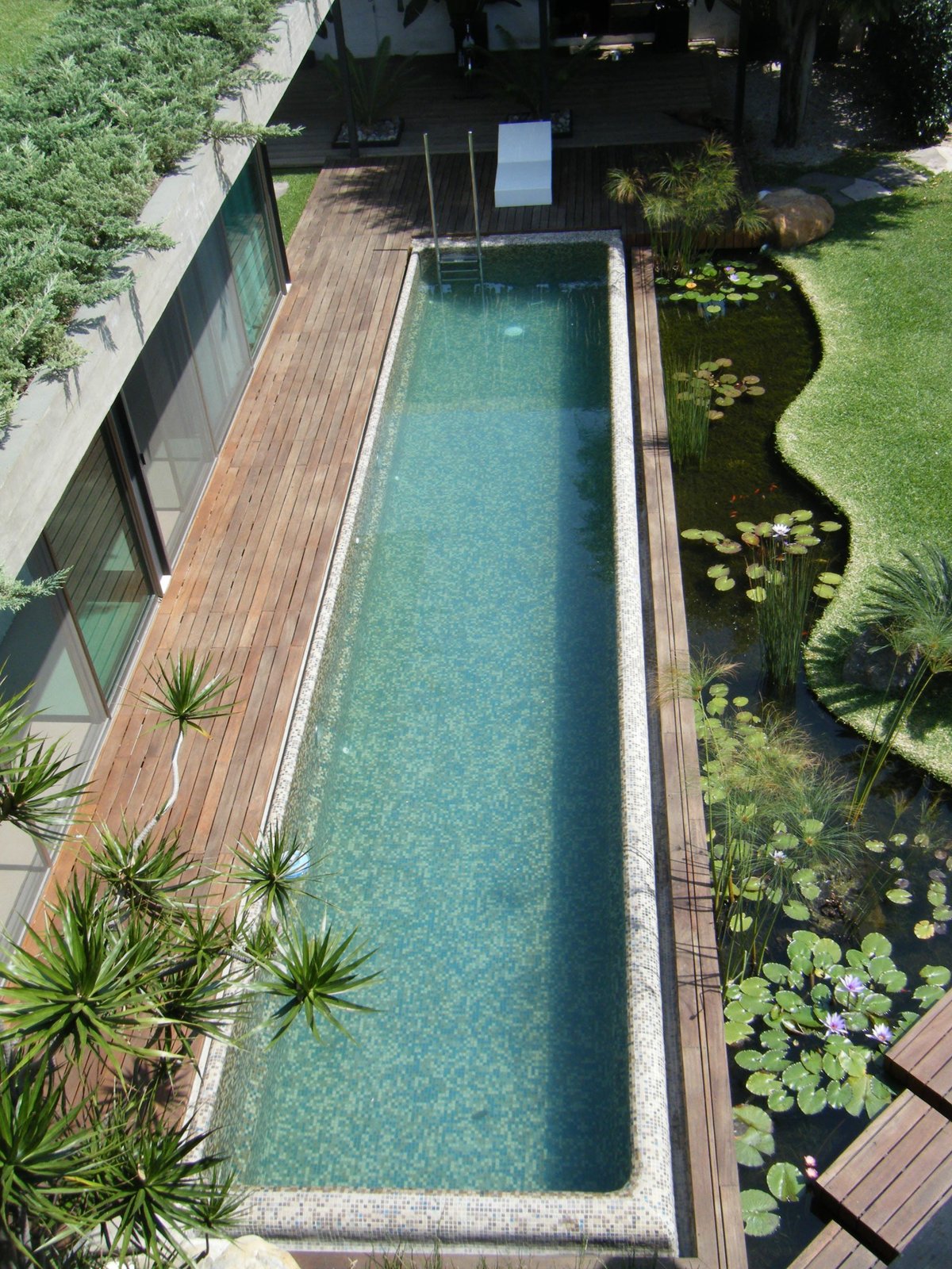 Vista aérea de alberca rectangular moderna con agua turquesa, deck de madera, jardín con estanque de lirios y casa oscura, construida en Cuernavaca