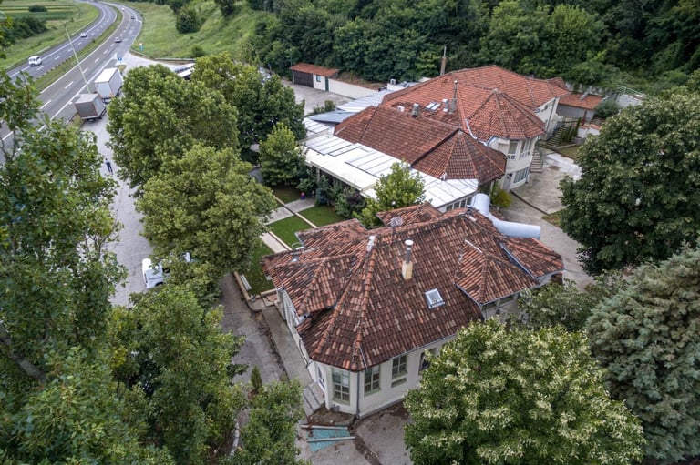 Aerial view of two residential villas with terracotta tile roofs surrounded by dense green trees and a curved road nearby