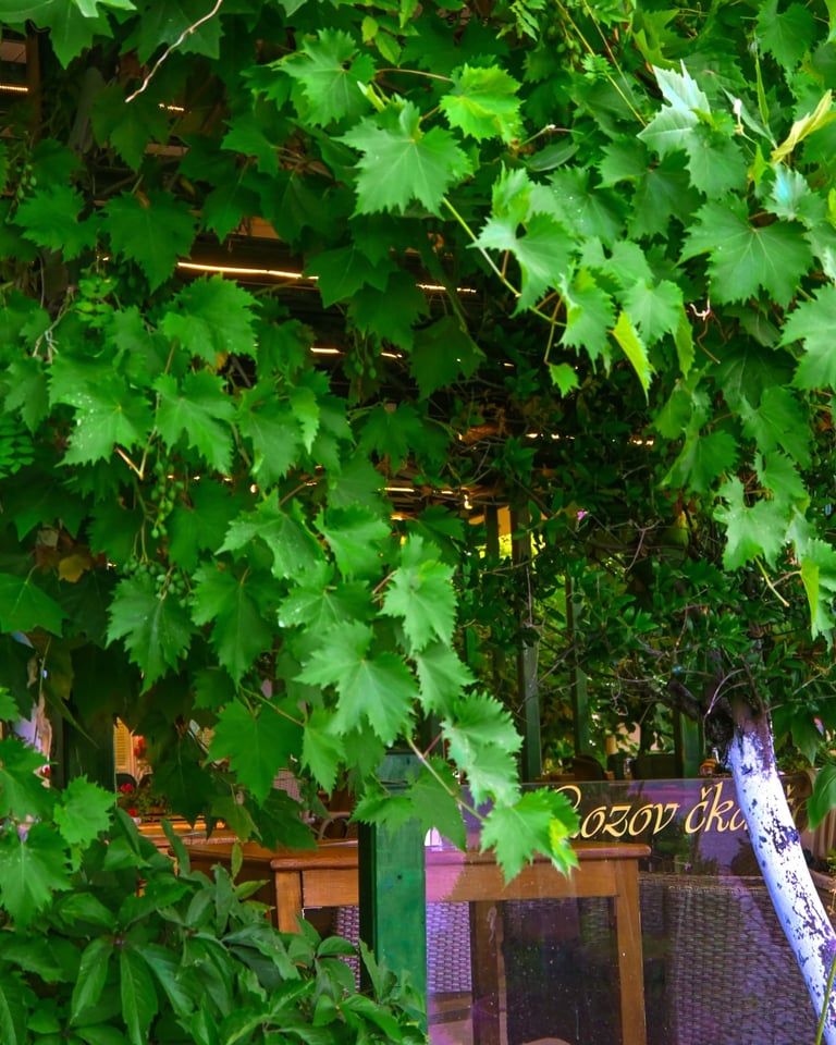 Dense ivy vines with bright green leaves cascading over a storefront entrance with neon signage and warm lighting