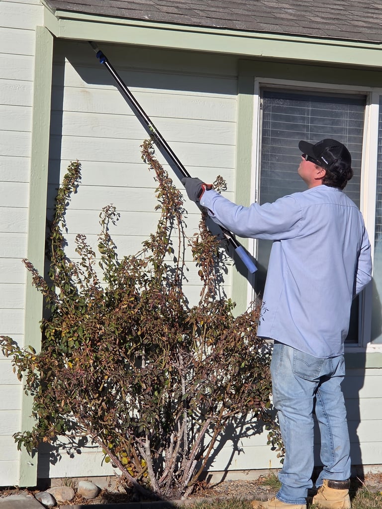 Person in blue shirt and black cap using a long pole tool to trim dead branches from a shrub against a white house with window